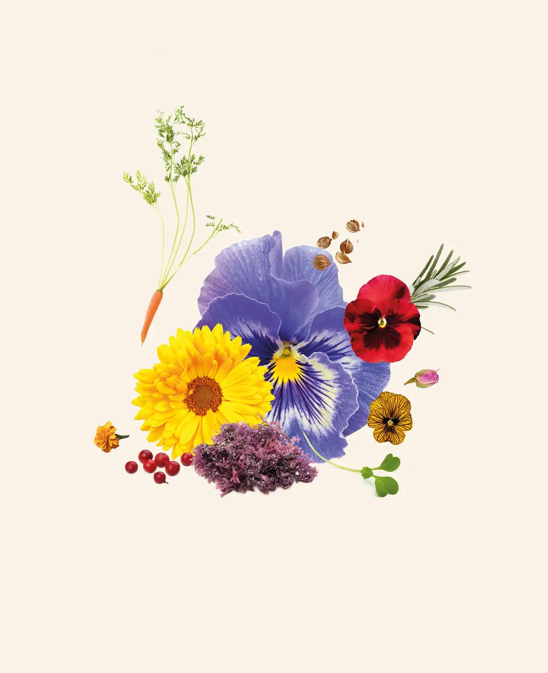 Gráfica de comunicación de Germinarte